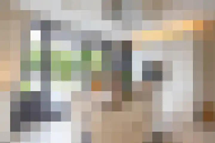 De Priorij 13 Harkstede thumbnail 18