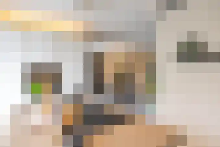 De Priorij 13 Harkstede thumbnail 19