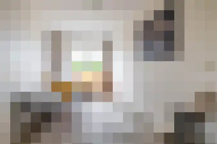 De Priorij 13 Harkstede thumbnail 28