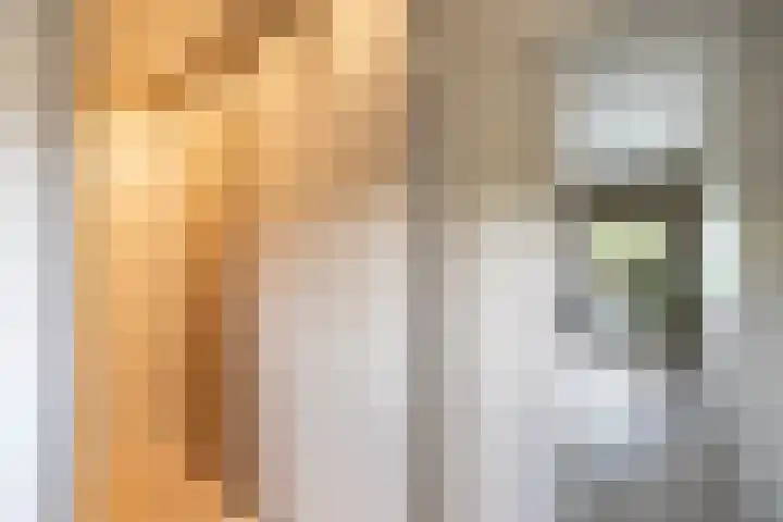 De Priorij 13 Harkstede thumbnail 34