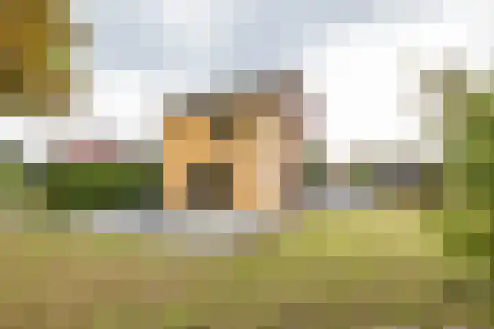 De Priorij 13 Harkstede thumbnail 47