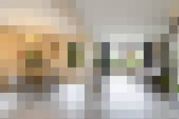 De Priorij 13 Harkstede thumbnail 7