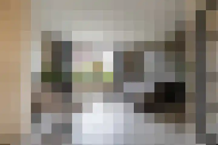 De Priorij 13 Harkstede thumbnail 8