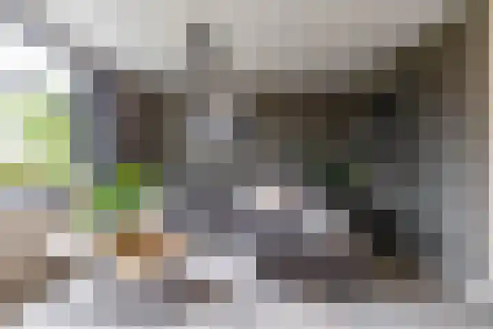 De Priorij 13 Harkstede thumbnail 9