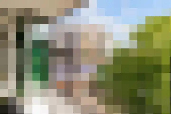 De Promesse 87 Lelystad thumbnail 24