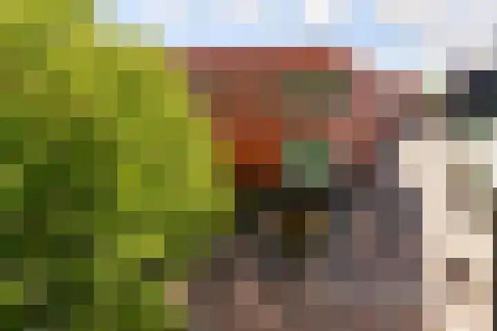 De Promesse 87 Lelystad thumbnail 25