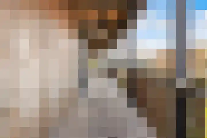 De Promesse 87 Lelystad thumbnail 38