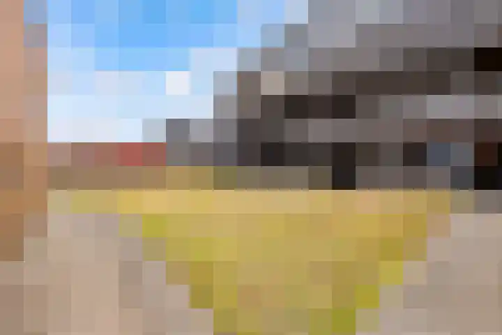 De Promesse 87 Lelystad thumbnail 39