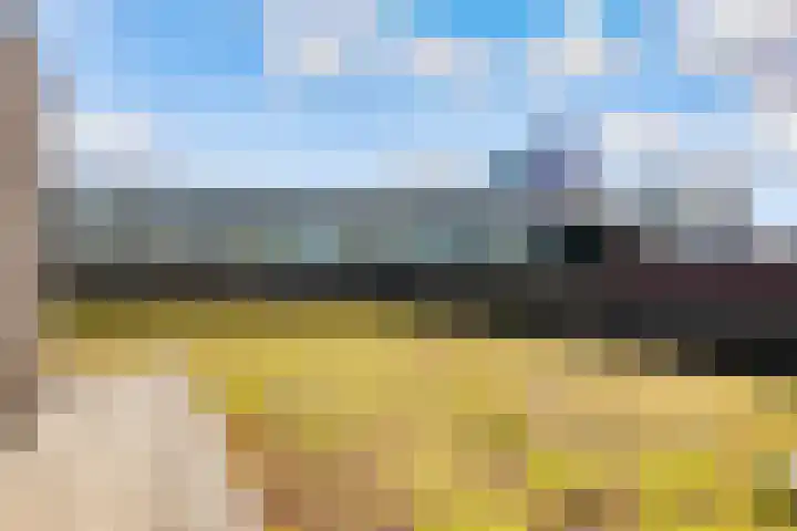 De Promesse 87 Lelystad thumbnail 42