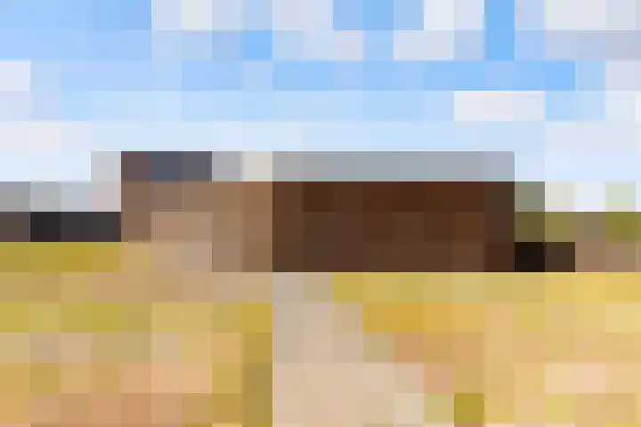 De Promesse 87 Lelystad thumbnail 43