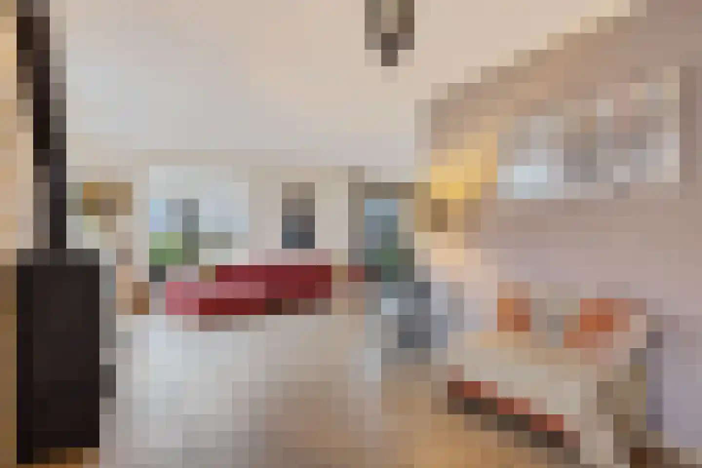 De Protter 11 Joure thumbnail 27