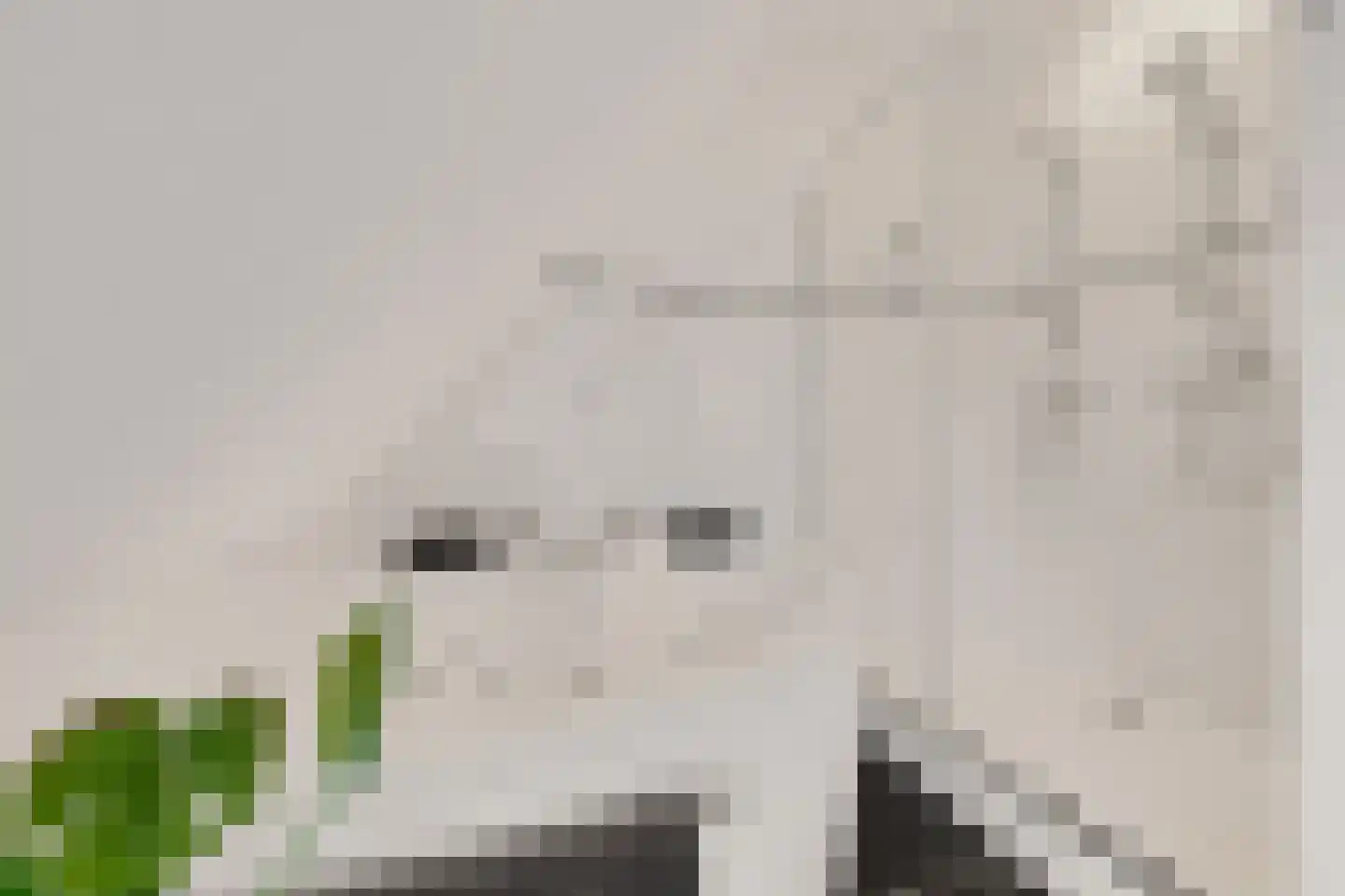 De Protter 11 Joure thumbnail 36