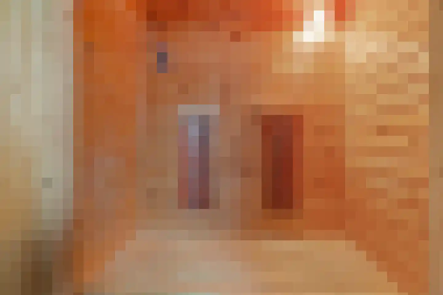 De Protter 11 Joure thumbnail 37