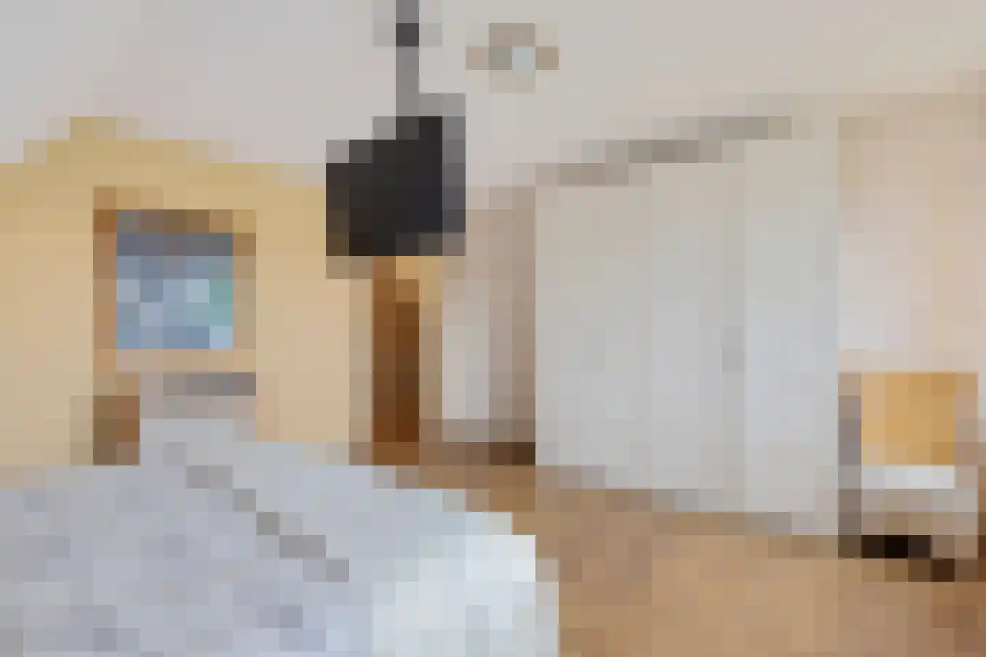 De Protter 11 Joure thumbnail 39