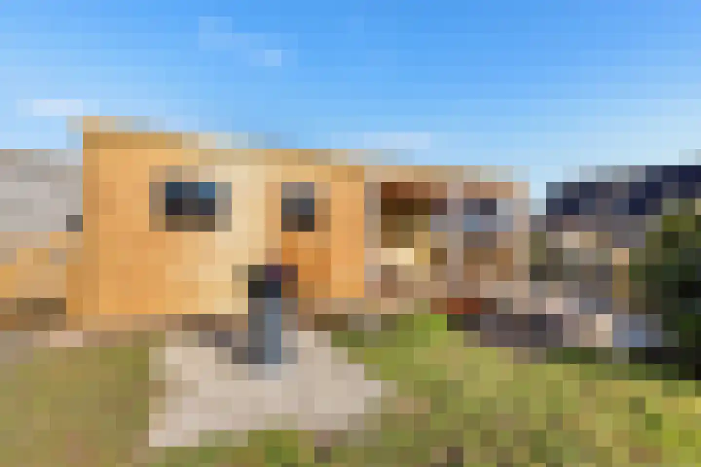 De Protter 11 Joure thumbnail 50