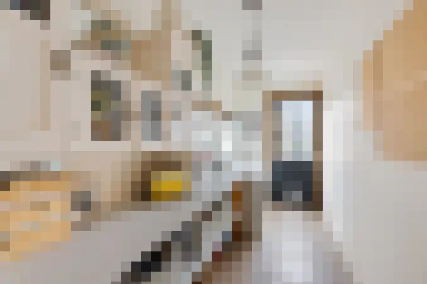 De Protter 11 Joure thumbnail 8