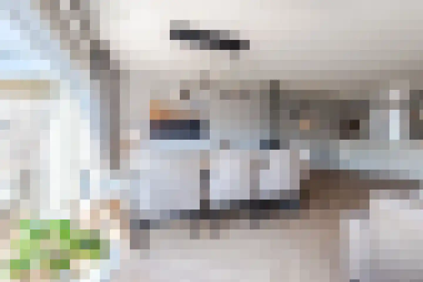 De Protter 17 Joure thumbnail 18