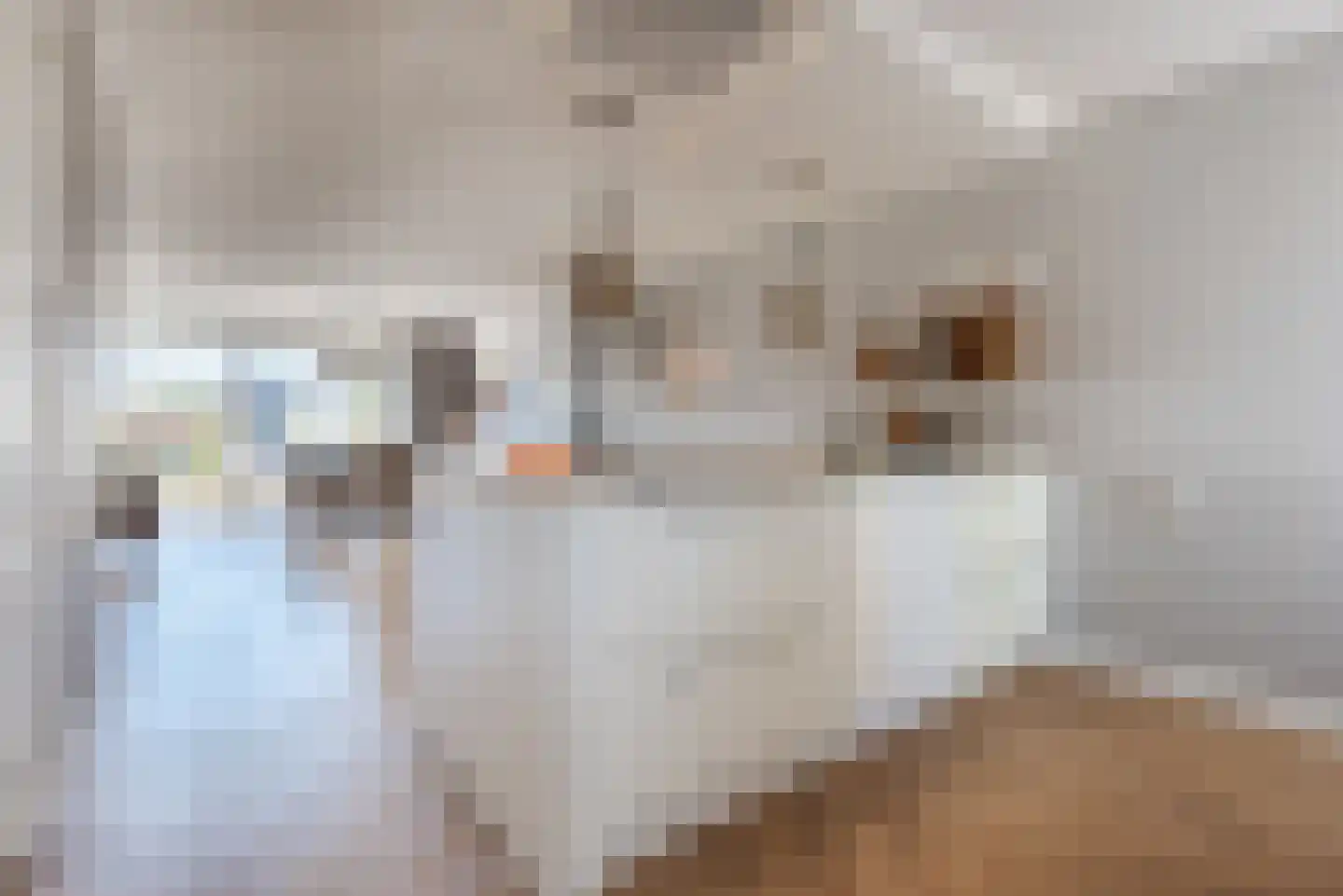 De Protter 17 Joure thumbnail 27