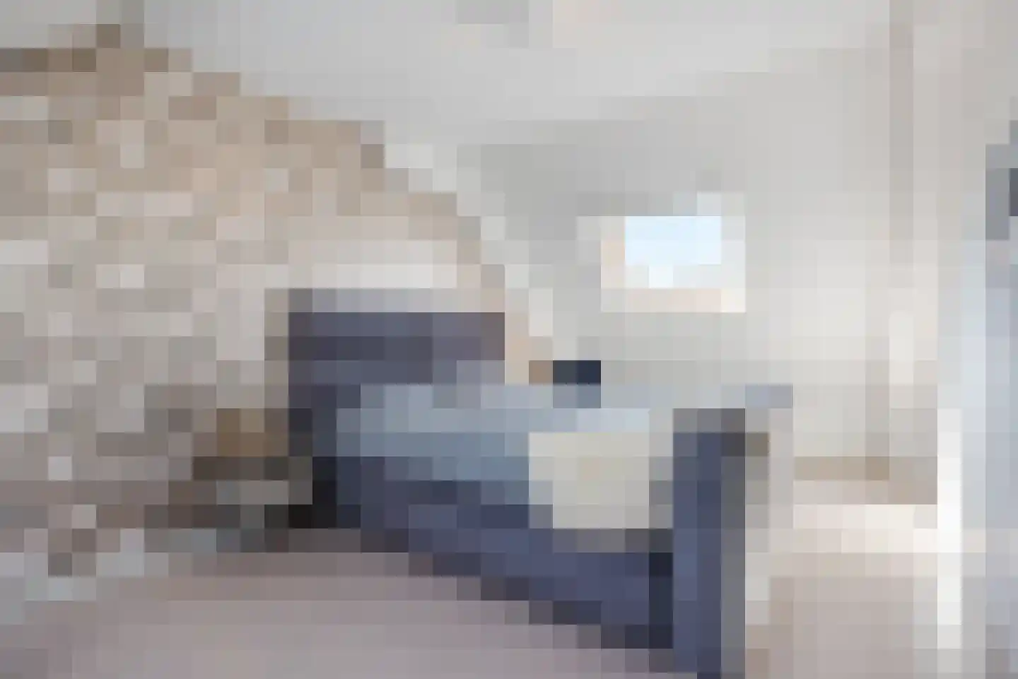 De Protter 17 Joure thumbnail 32