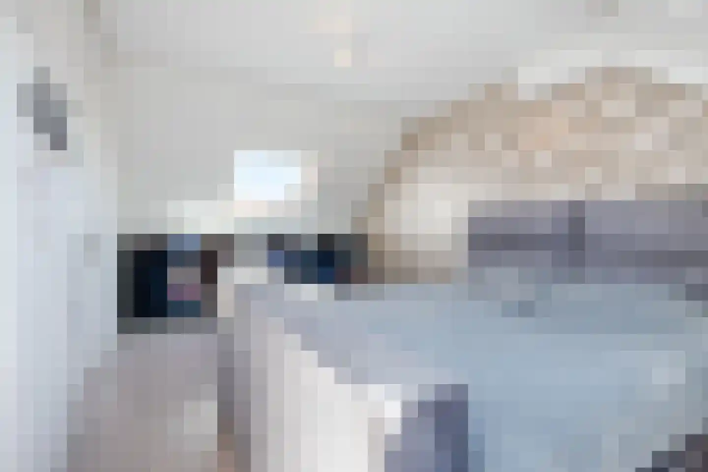 De Protter 17 Joure thumbnail 34