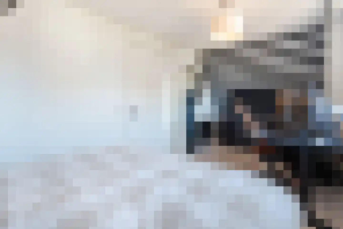 De Protter 17 Joure thumbnail 36