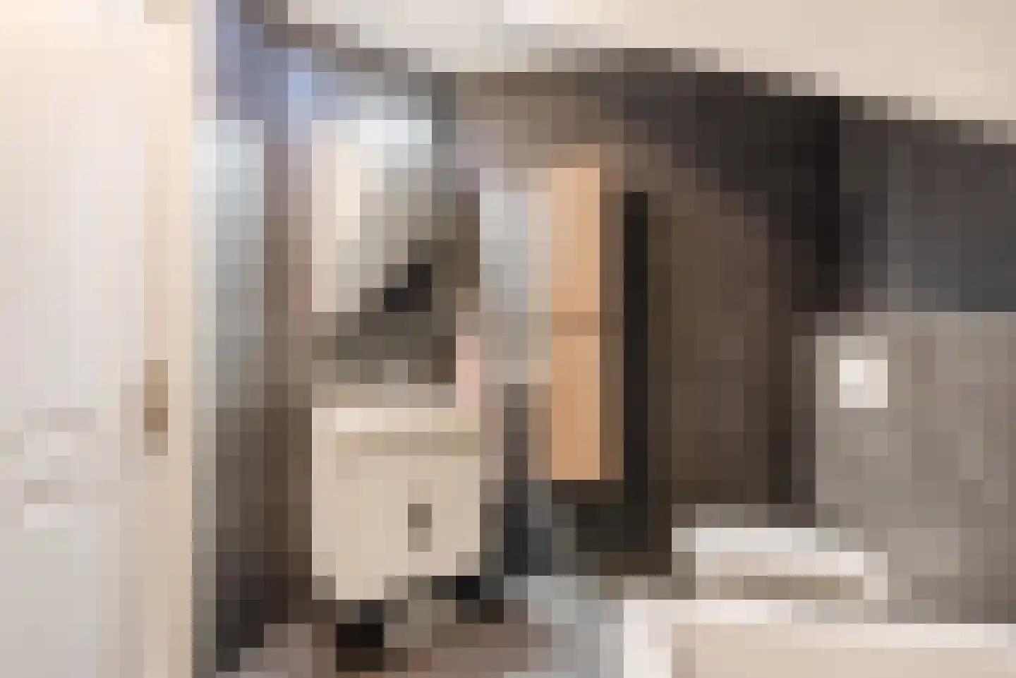 De Protter 17 Joure thumbnail 43