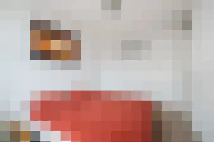 De Pruikenmaker 17 Veldhoven thumbnail 17