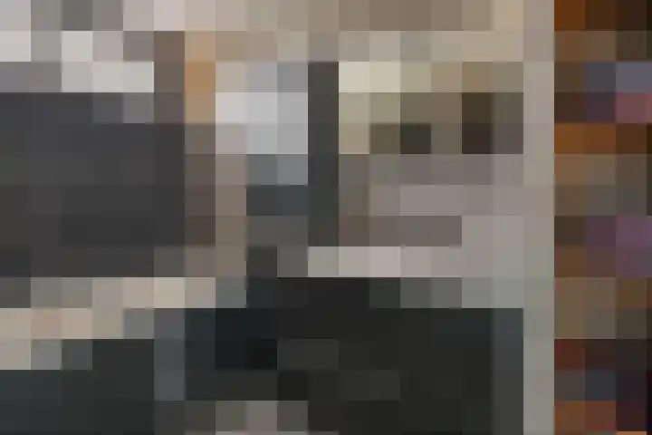 De Pruikenmaker 17 Veldhoven thumbnail 4