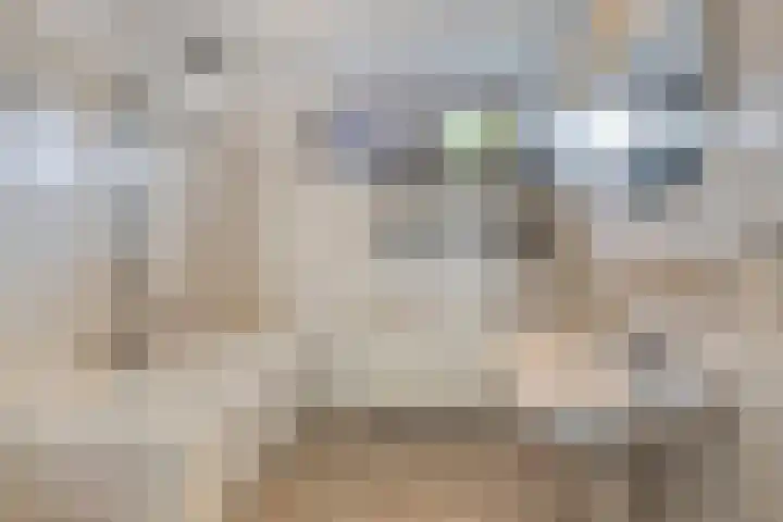 De Pruikenmaker 27 Veldhoven thumbnail 17