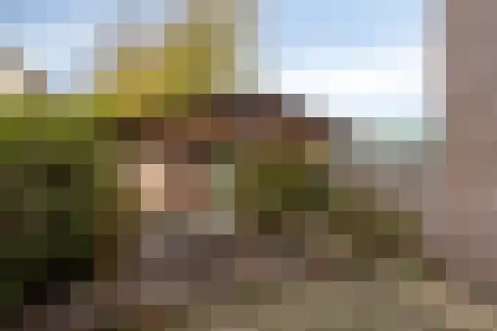 De Pruikenmaker 27 Veldhoven thumbnail 28
