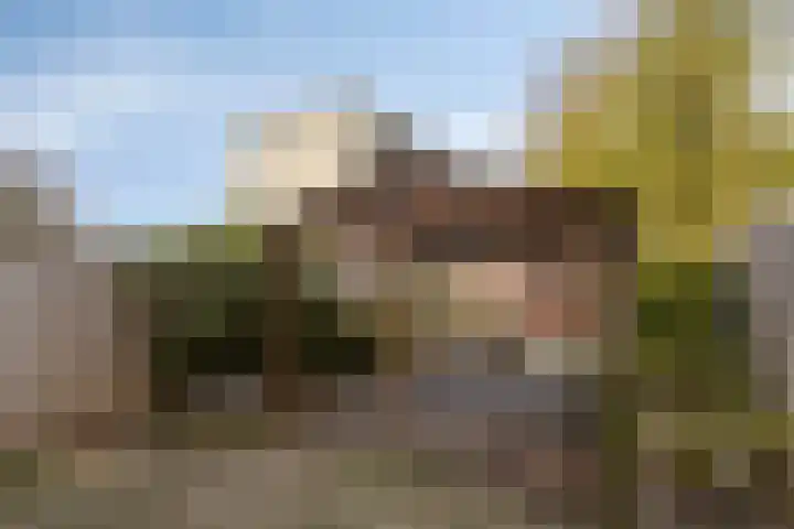 De Pruikenmaker 27 Veldhoven thumbnail 29