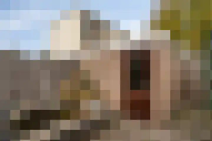 De Pruikenmaker 27 Veldhoven thumbnail 31