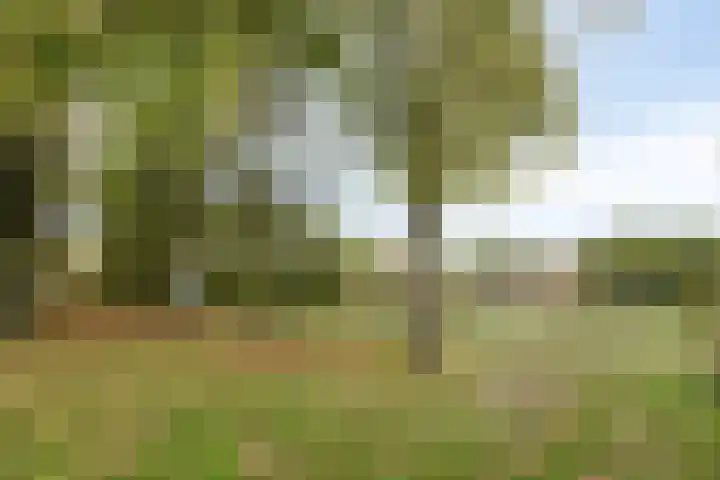 De Pruikenmaker 27 Veldhoven thumbnail 34