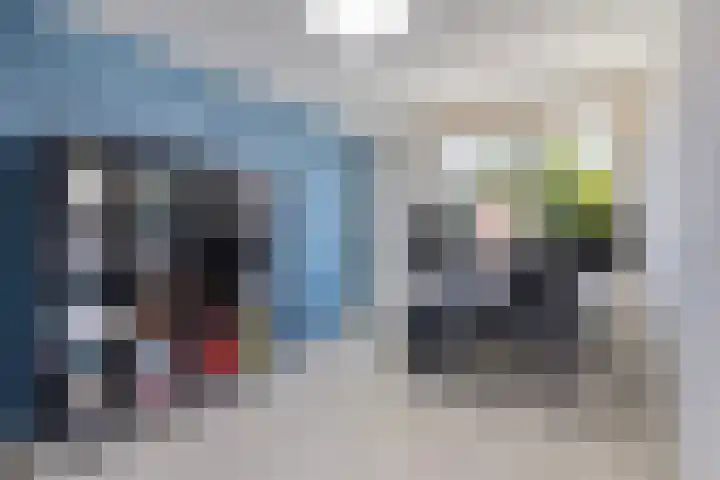 De Pruikenmaker 35 Veldhoven thumbnail 16