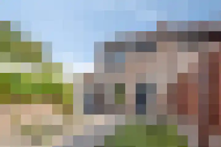 De Pruikenmaker 35 Veldhoven thumbnail 23