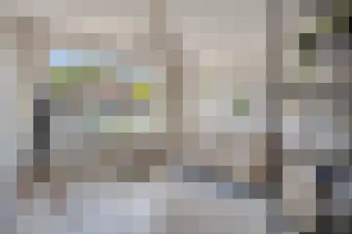 De Pruikenmaker 35 Veldhoven thumbnail 6