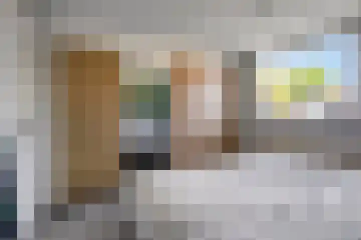 De Prunus 11 Dedemsvaart thumbnail 20