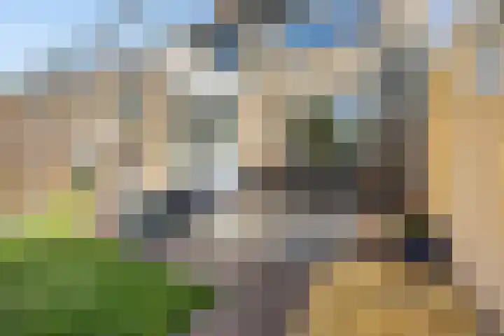 De Prunus 11 Dedemsvaart thumbnail 32