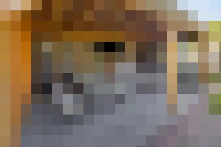 De Prunus 11 Dedemsvaart thumbnail 36