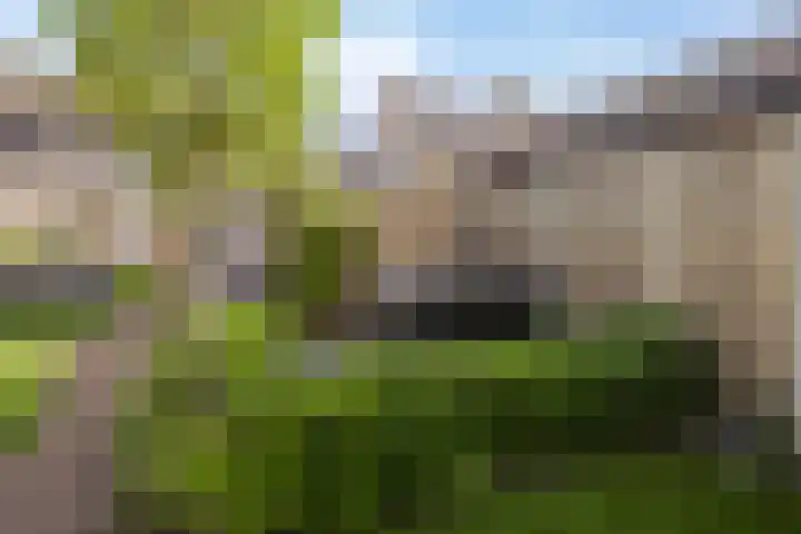 De Prunus 11 Dedemsvaart thumbnail 38