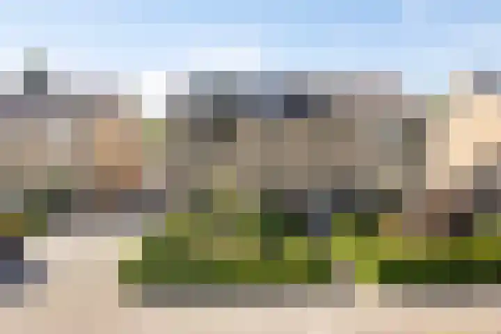 De Prunus 11 Dedemsvaart thumbnail 41