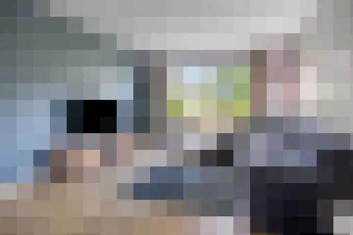 De Prunus 11 Dedemsvaart thumbnail 7