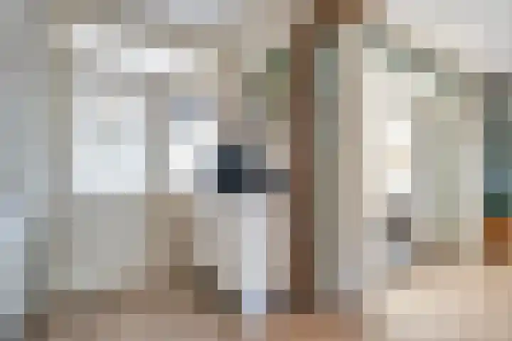 De Prunus 17 Dedemsvaart thumbnail 12