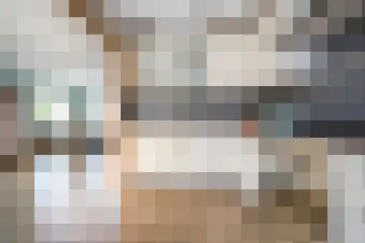 De Prunus 17 Dedemsvaart thumbnail 13