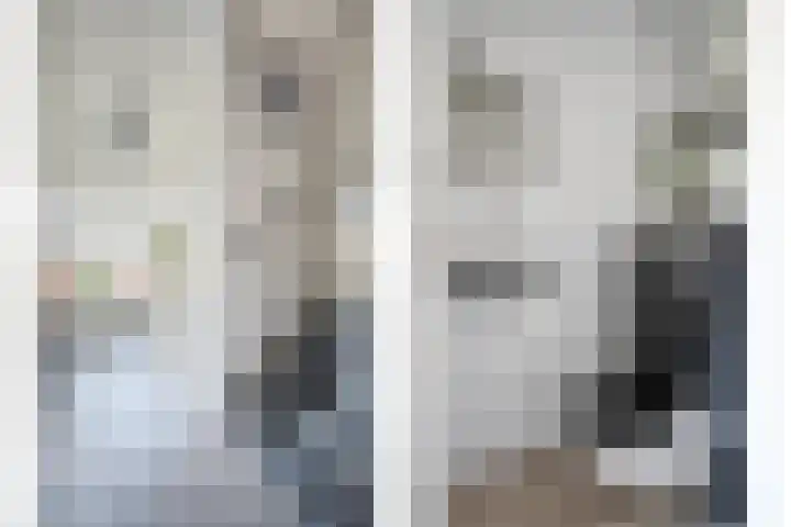 De Prunus 17 Dedemsvaart thumbnail 17