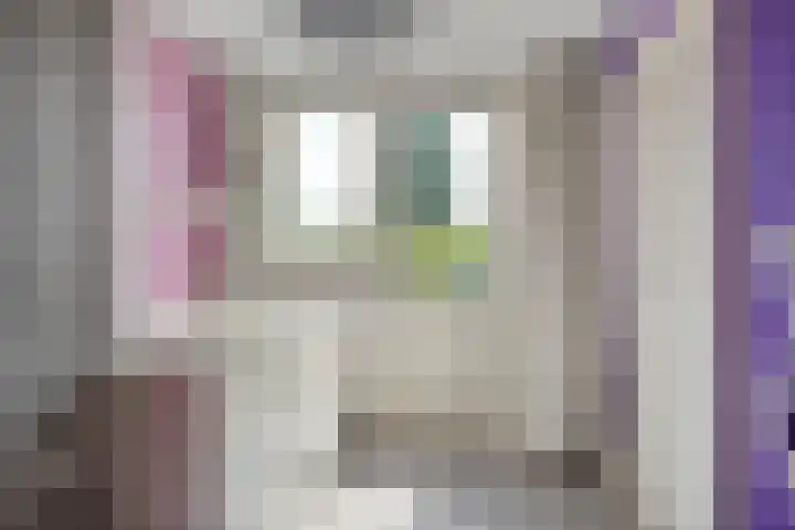 De Prunus 17 Dedemsvaart thumbnail 23