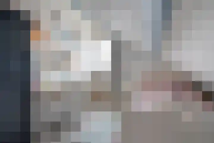De Prunus 17 Dedemsvaart thumbnail 29
