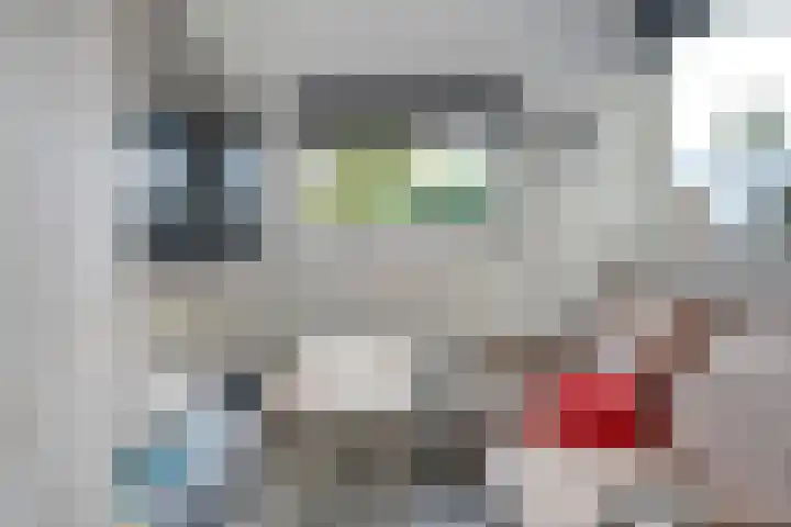 De Prunus 17 Dedemsvaart thumbnail 34