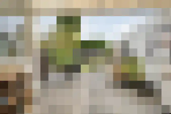 De Prunus 17 Dedemsvaart thumbnail 35