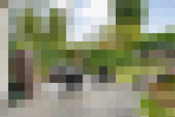De Prunus 17 Dedemsvaart thumbnail 37